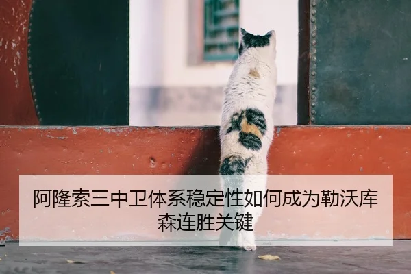 阿隆索三中卫体系稳定性如何成为勒沃库森连胜关键