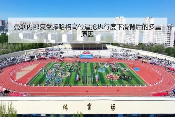 img_1782491426674_686_1_818.jpg